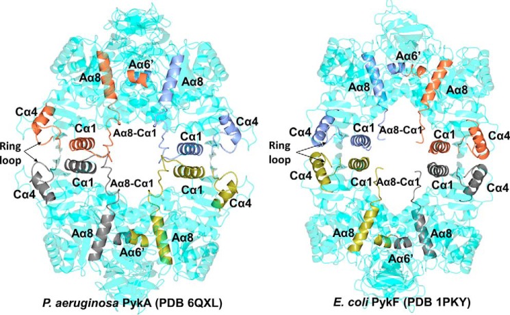 Figure 7.