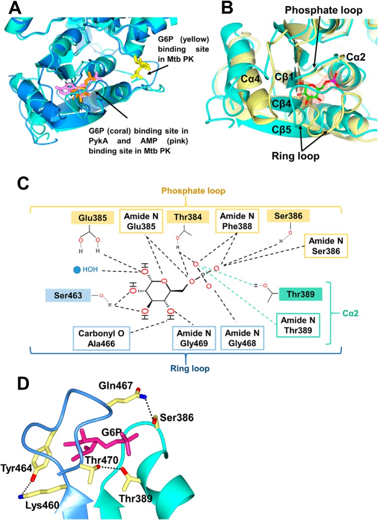 Figure 4.