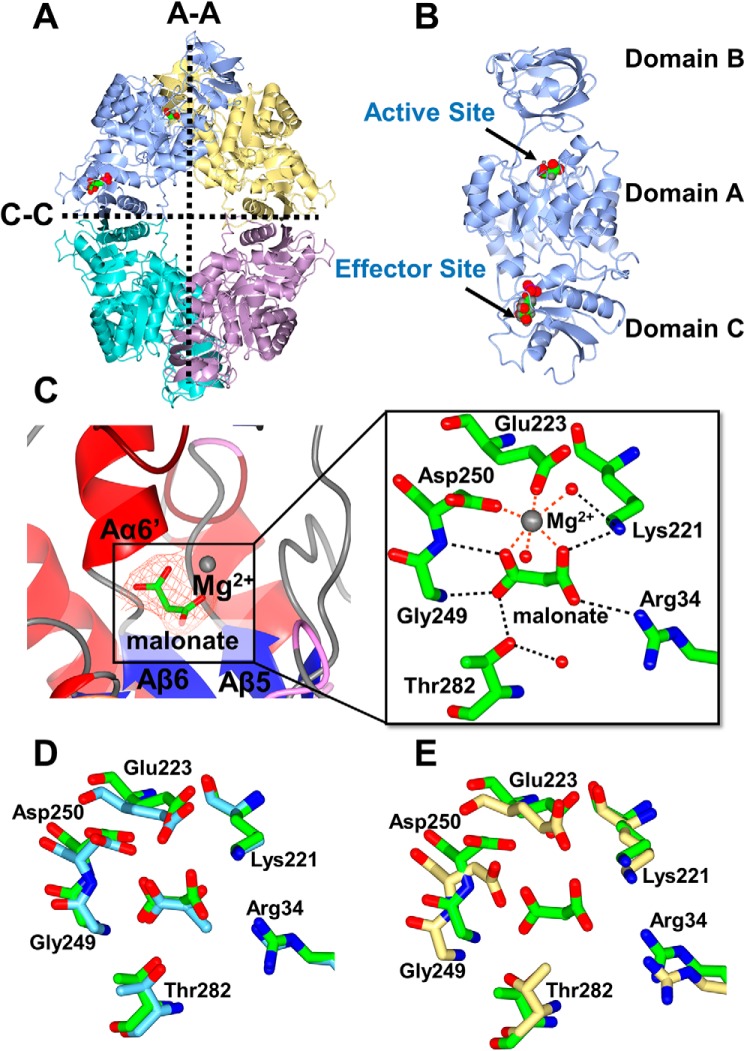 Figure 3.