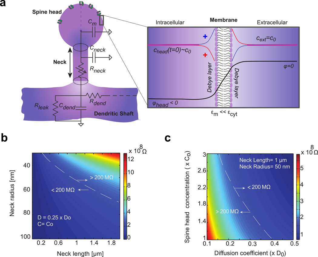 Figure 1: