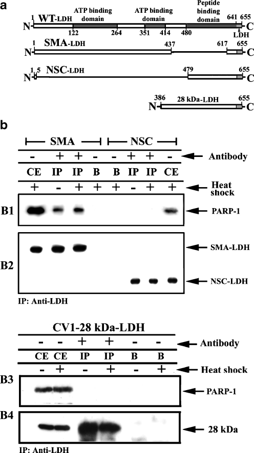 Fig. 8