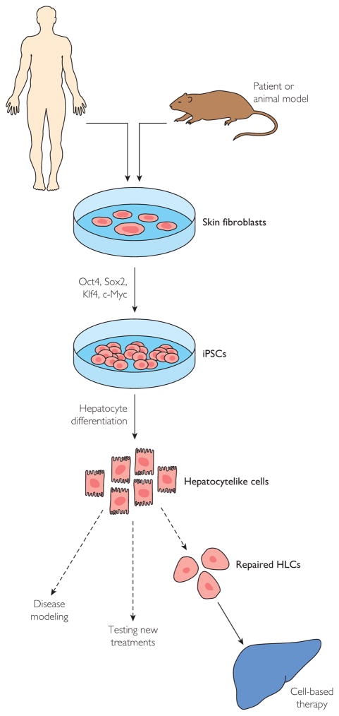 FIGURE 1