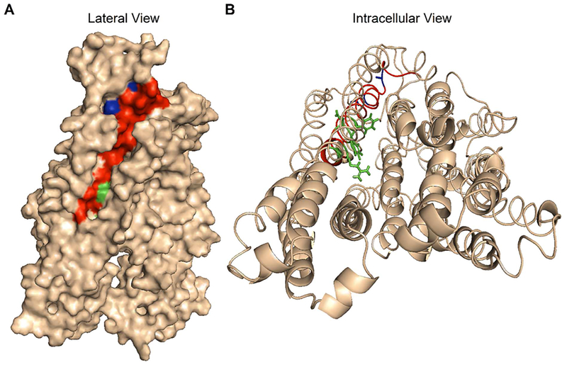 Figure 9.