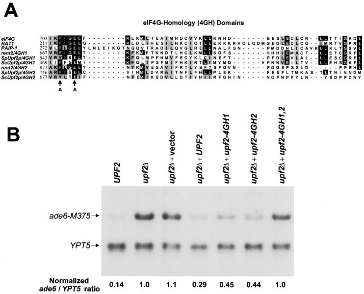 FIG. 6