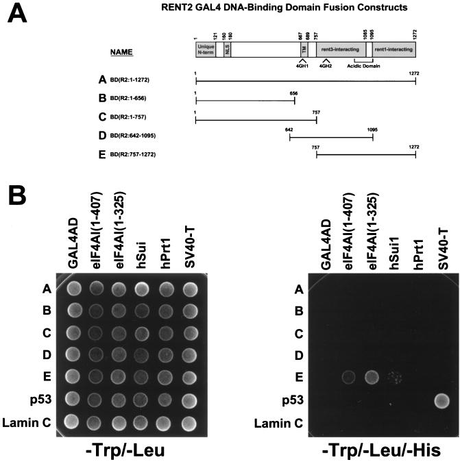 FIG. 7