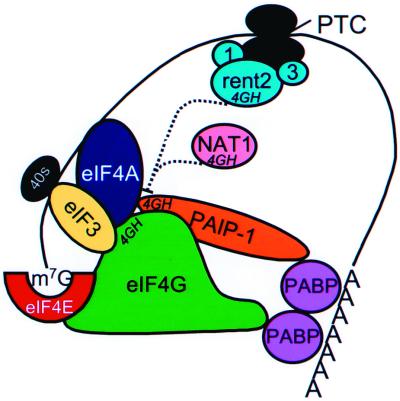 FIG. 8