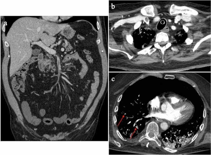 Fig. 8