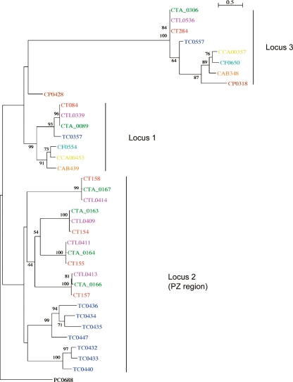 Figure 4.