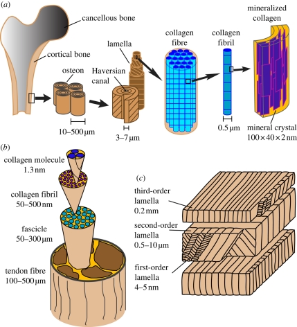 Figure 1.