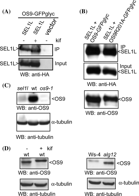 Fig. 7