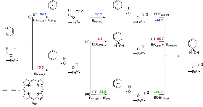 Scheme 5