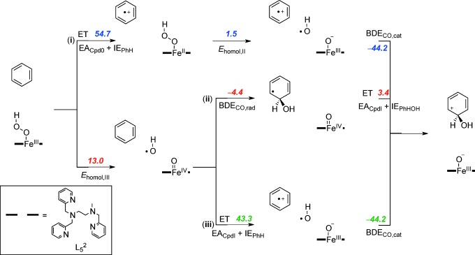 Scheme 4