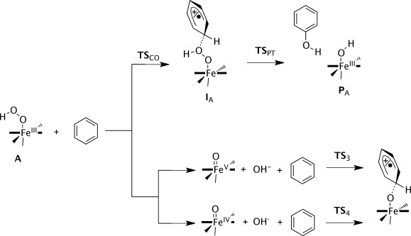 Scheme 2