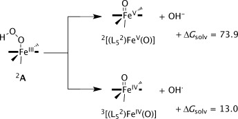 Scheme 3