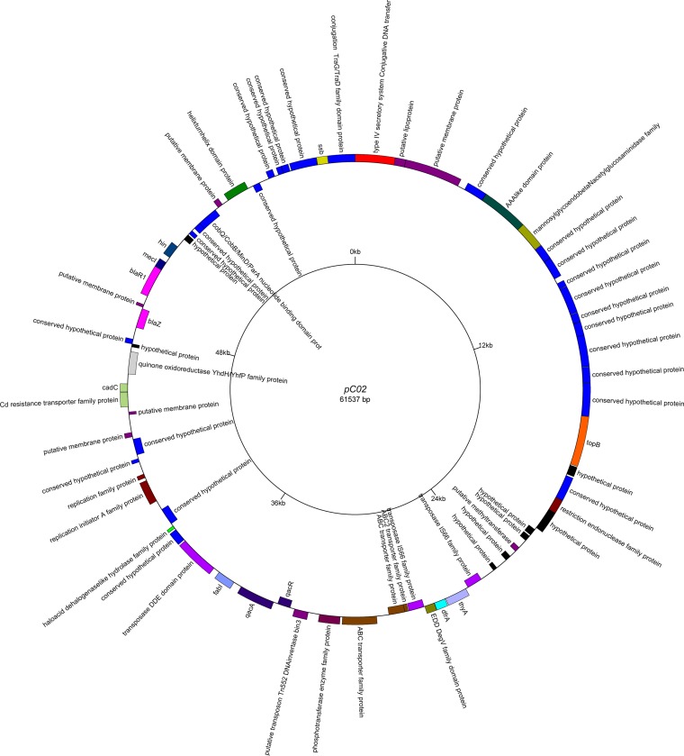 FIG 2