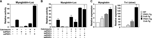 FIG. 7.