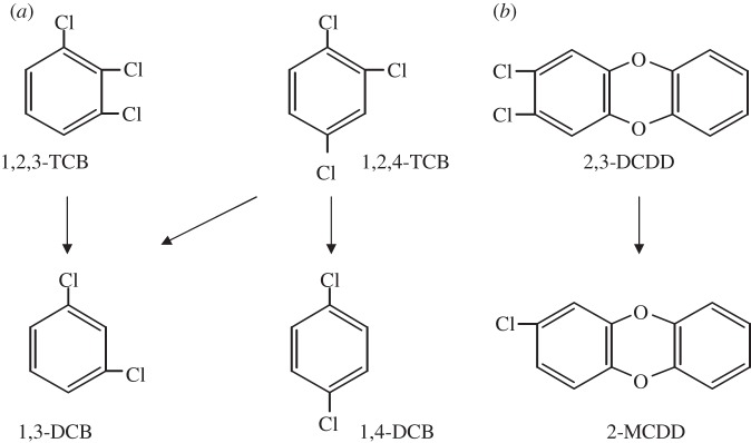 Figure 1.