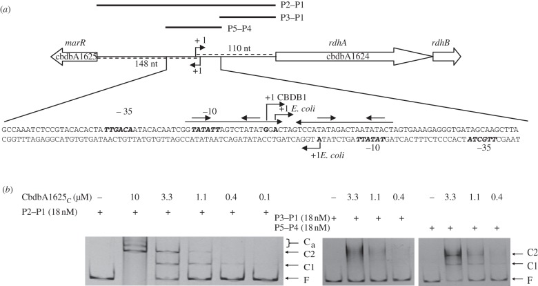 Figure 3.