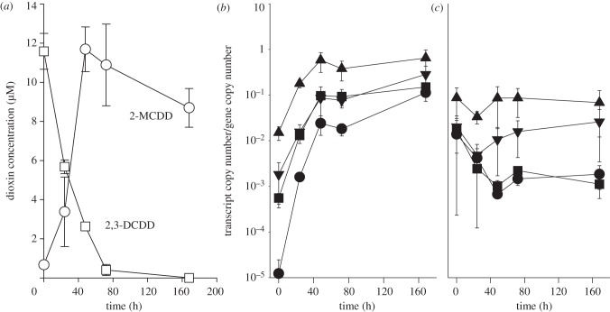 Figure 2.