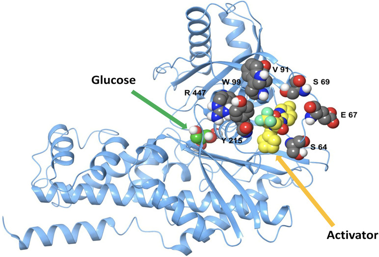 Figure 1