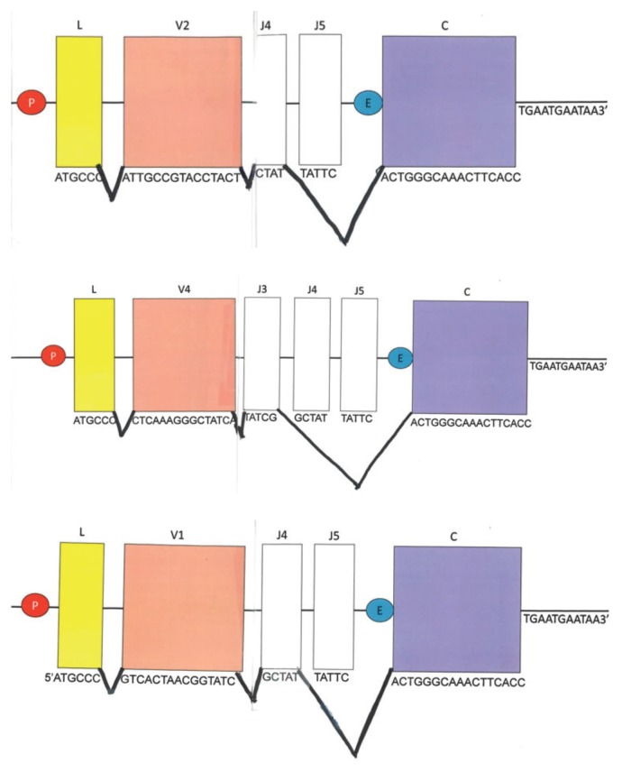 FIGURE 3