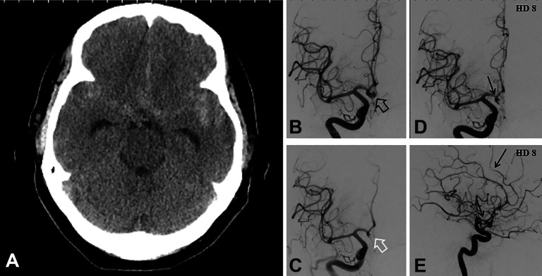 Figure 1.