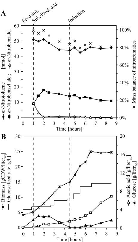 FIG. 5.