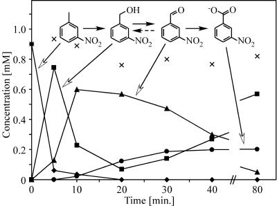 FIG. 2.