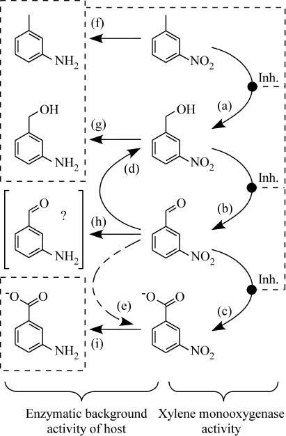 FIG. 7.