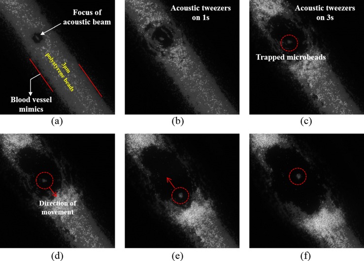 FIG. 3.