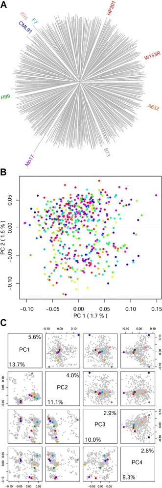 Fig. 3