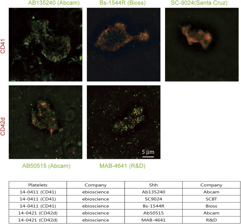 Figure 7—figure supplement 2.