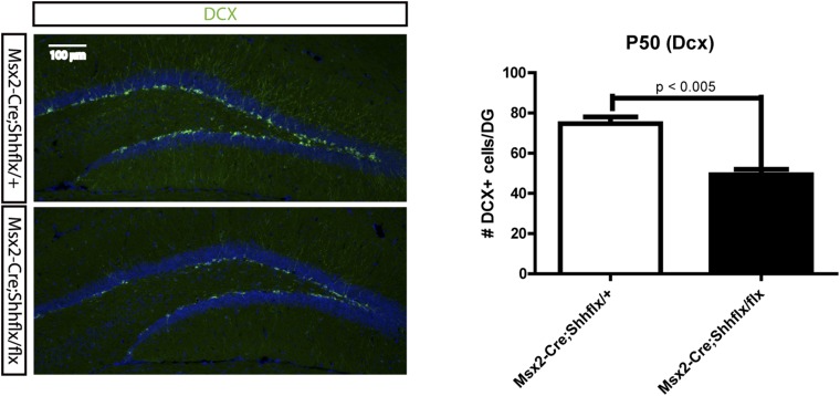 Figure 4—figure supplement 2.