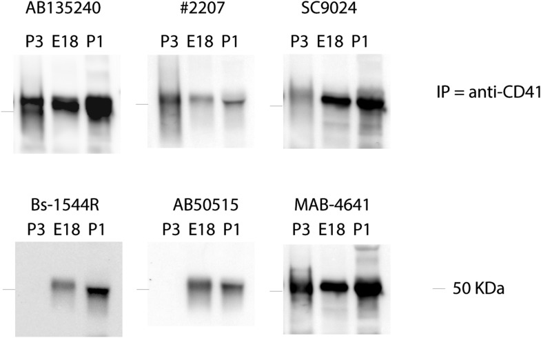 Figure 7—figure supplement 1.