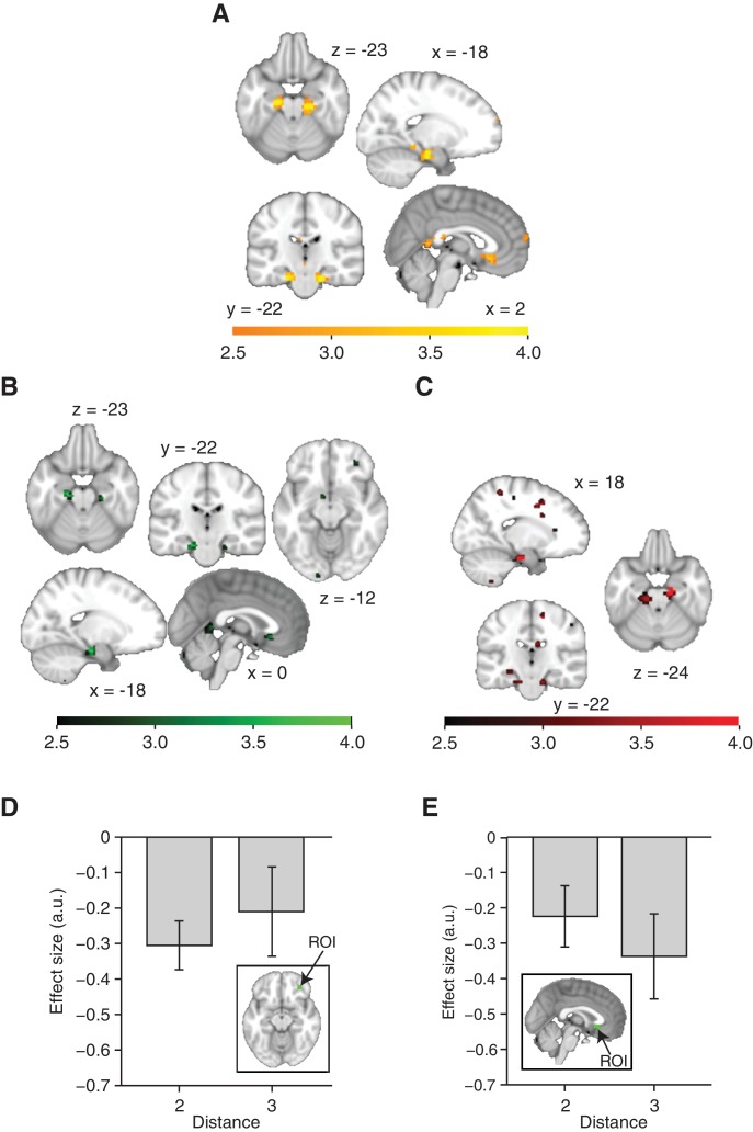 Figure 2—figure supplement 2.