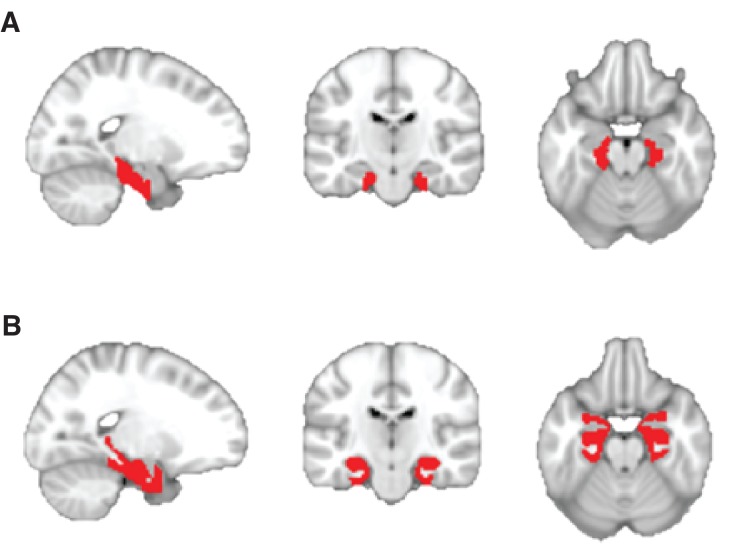 Figure 2—figure supplement 1.