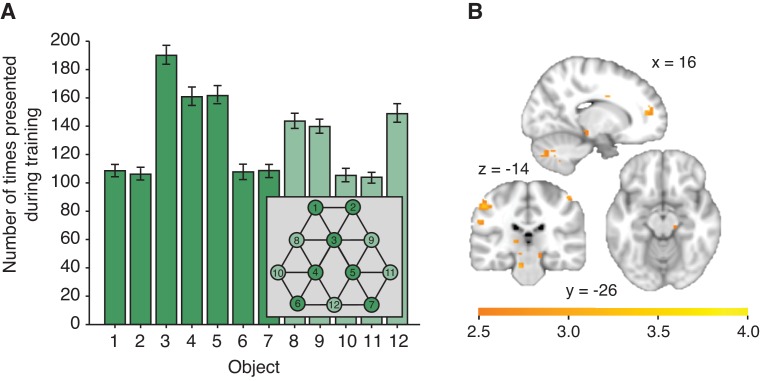 Figure 2—figure supplement 3.