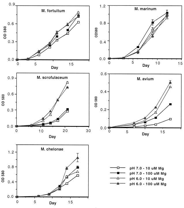 FIG. 4