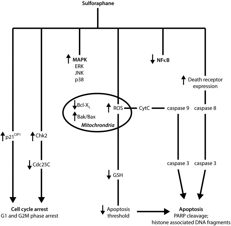 FIG. 5.