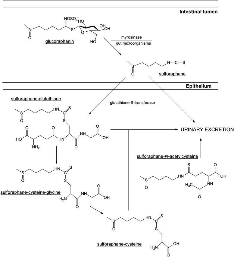 FIG. 3.