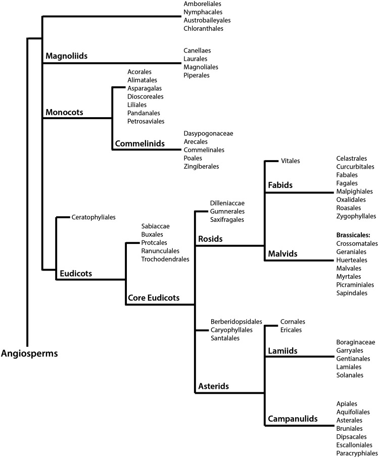 FIG. 1.