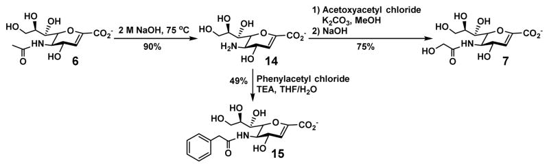 Scheme 3