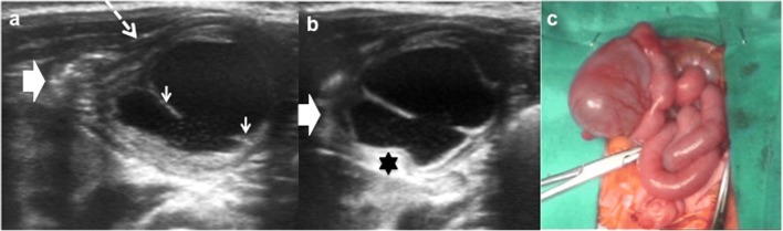 Fig. 10