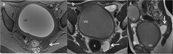 Fig. 8