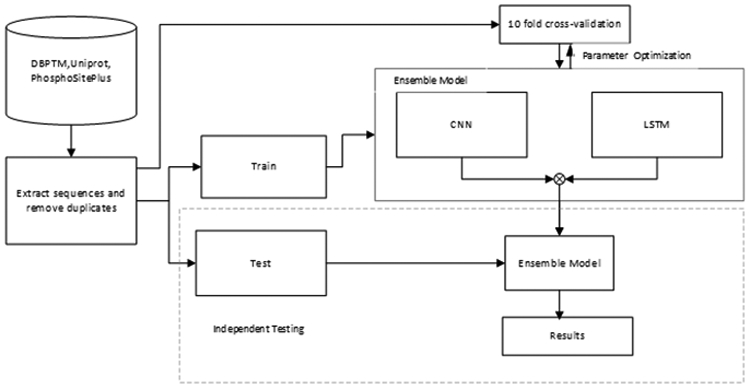 Figure 1: