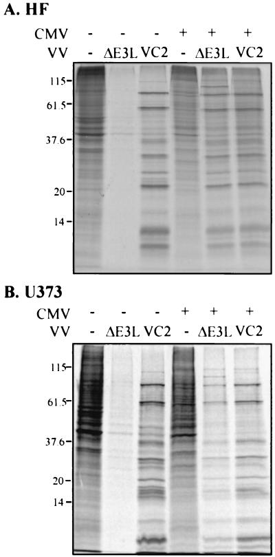 FIG. 4.