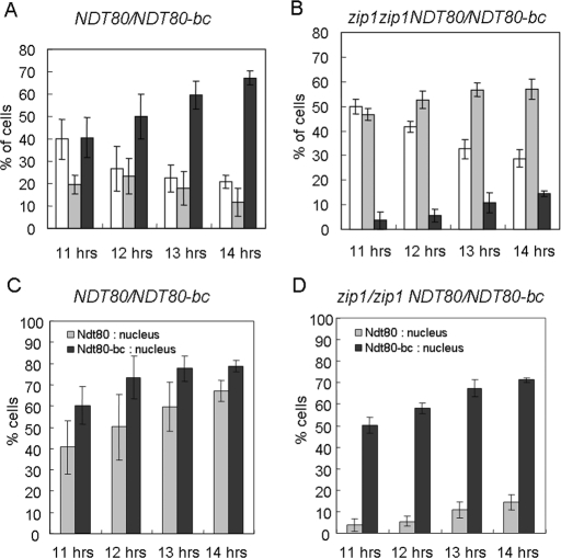 FIGURE 4: