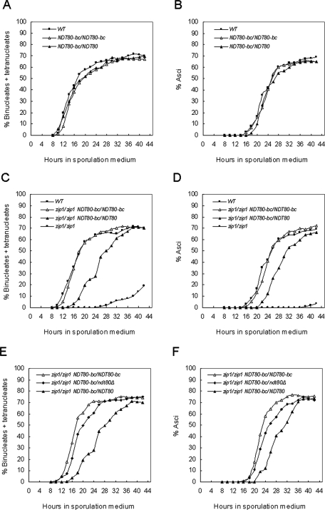 FIGURE 1: