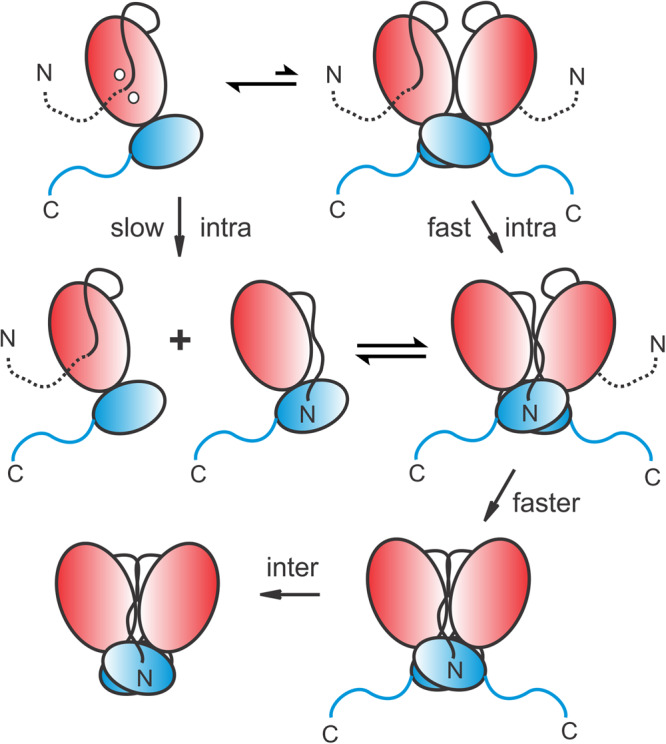 Fig. 7
