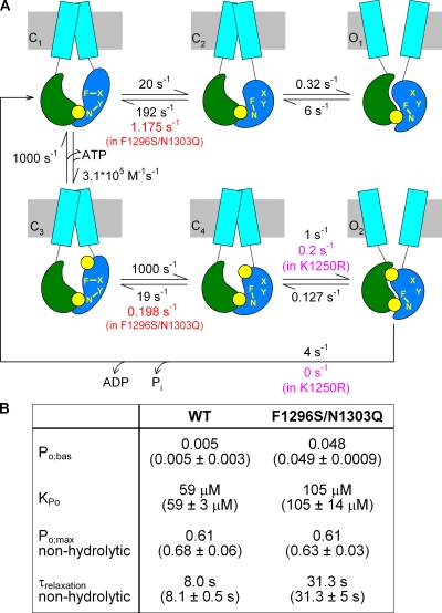 Figure 8.